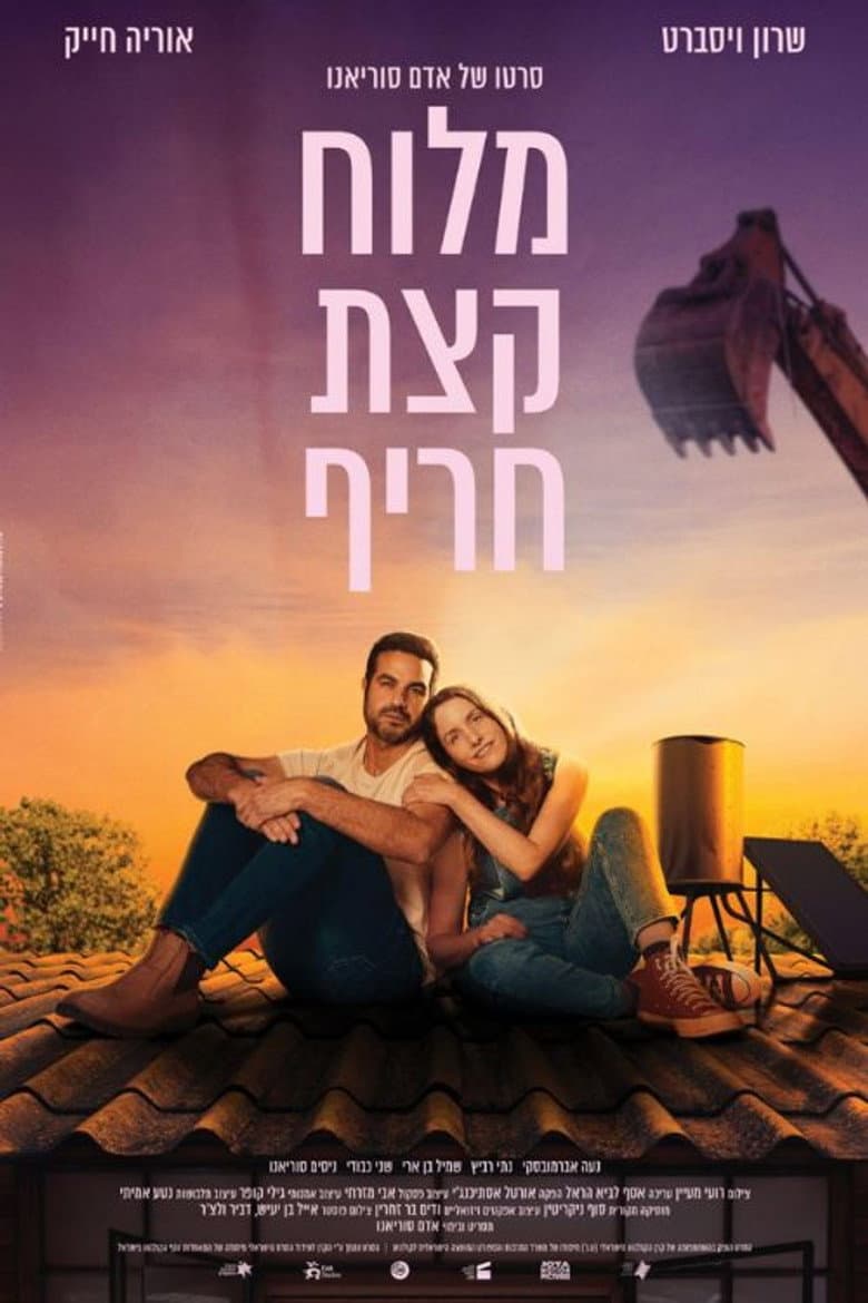 Salty Somewhat Spicy poster