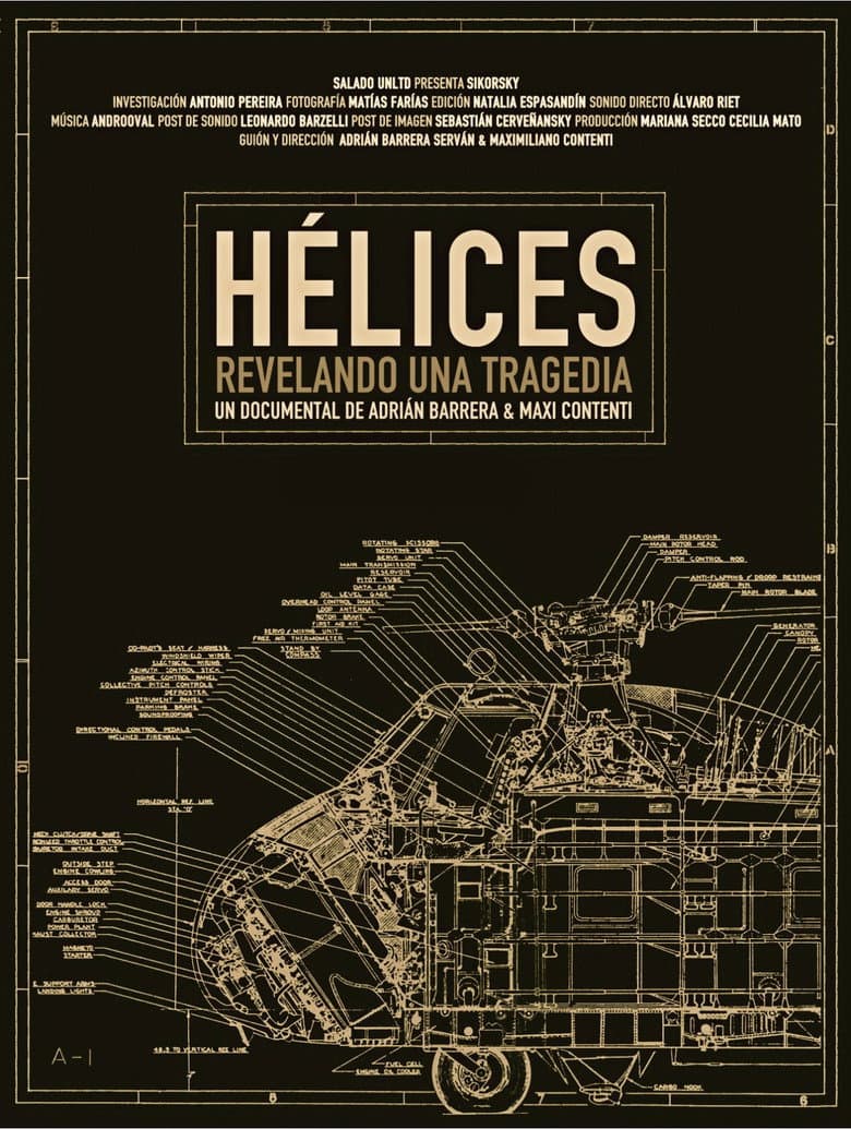 Helices: Revelando una tragedia poster