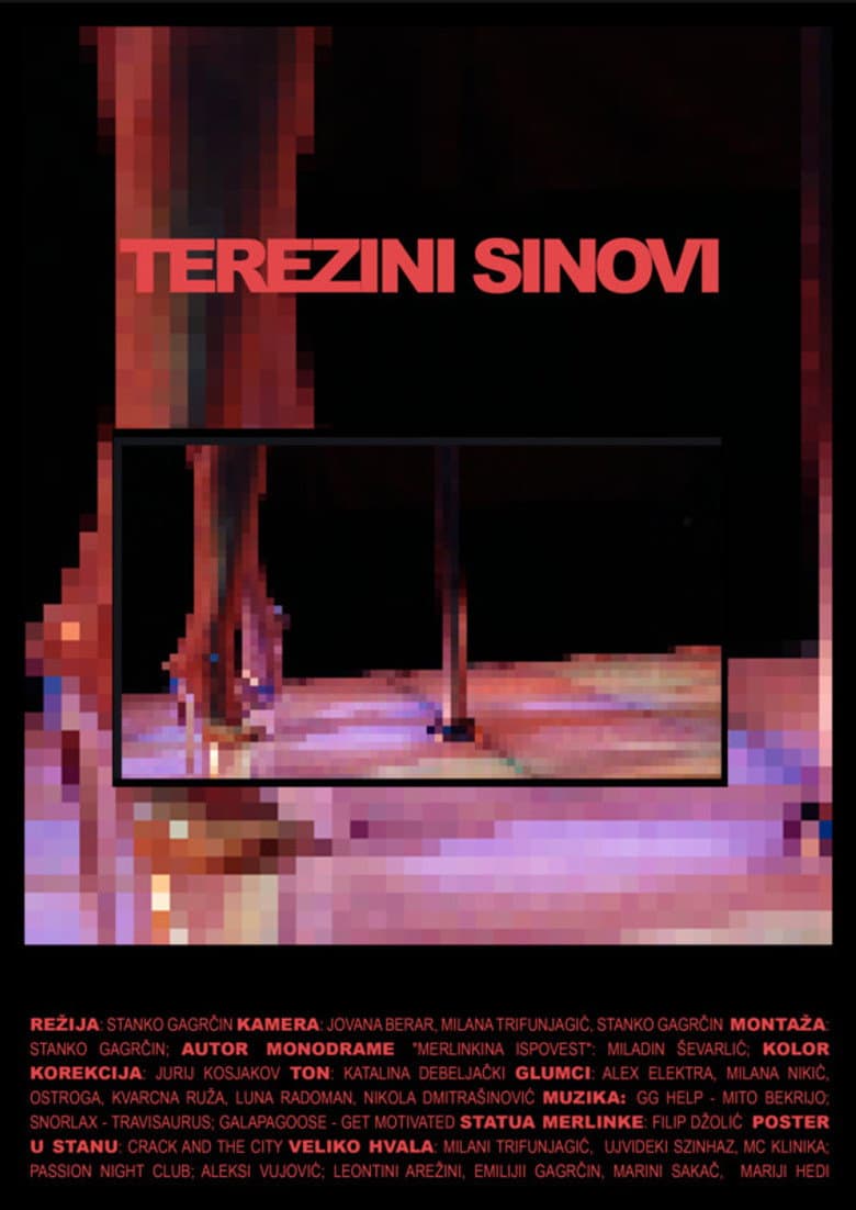 Tereza's Sons poster