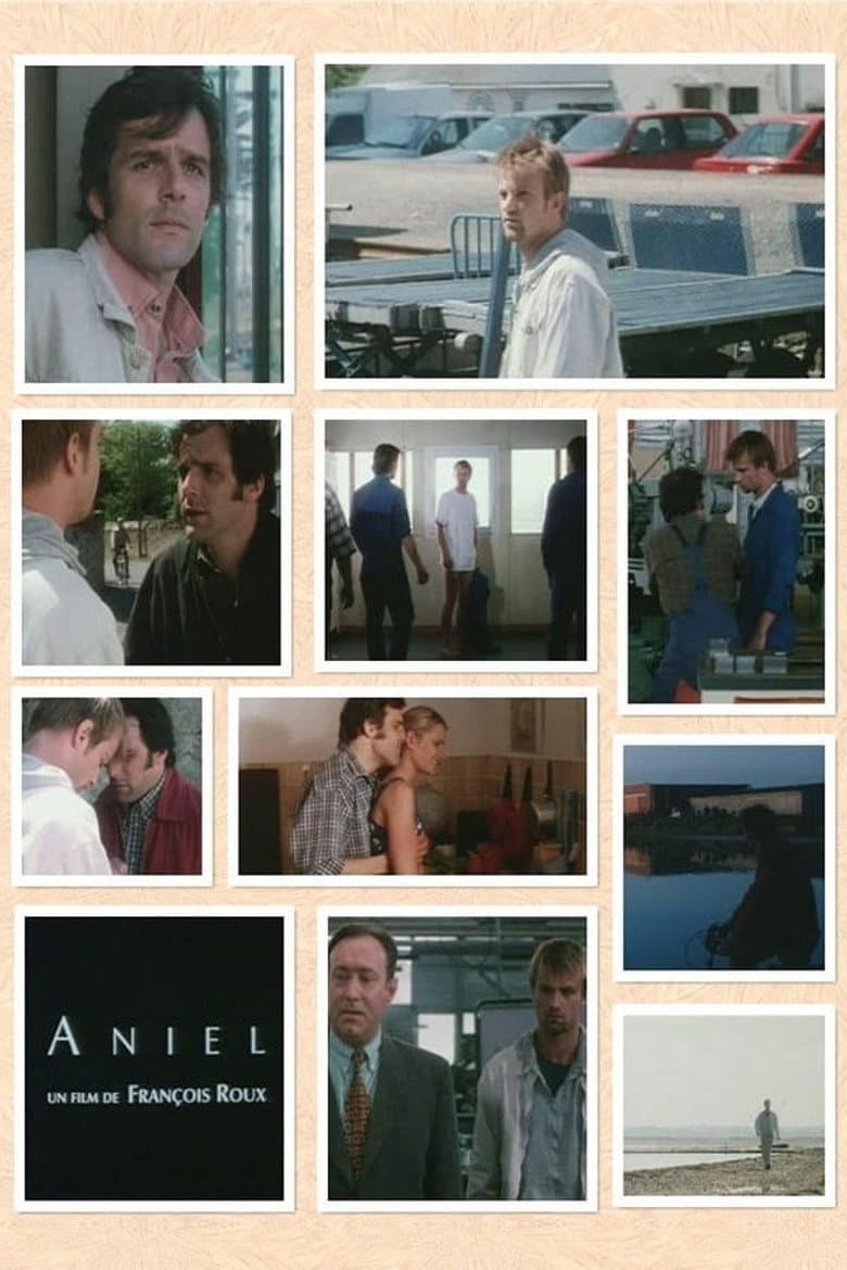 Aniel poster
