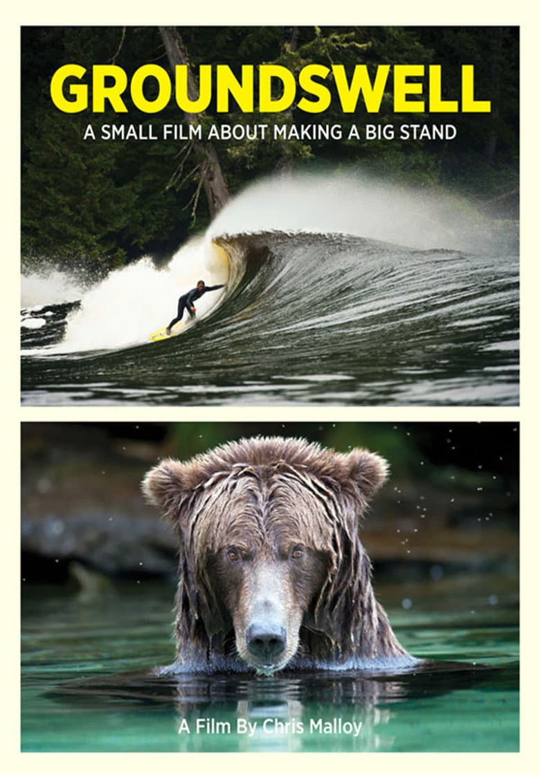 Groundswell poster