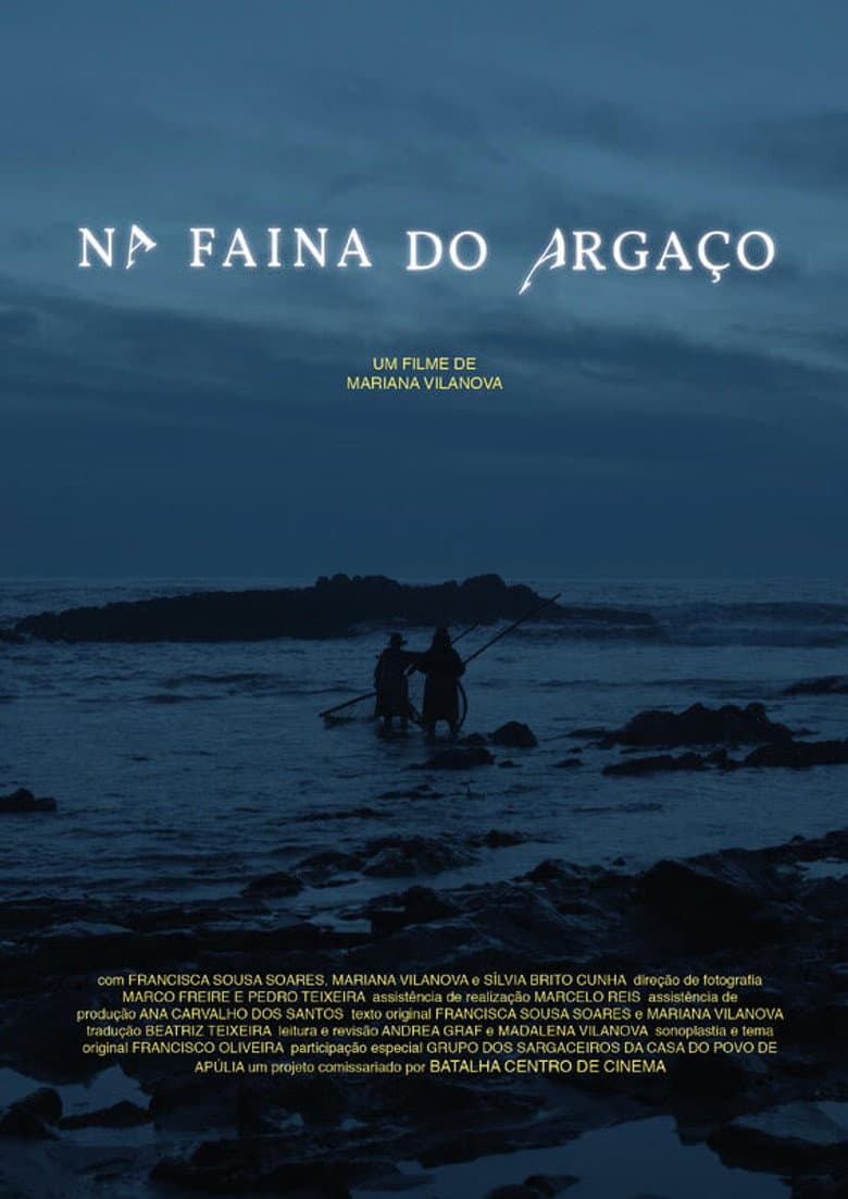 Na Faina do Argaço poster
