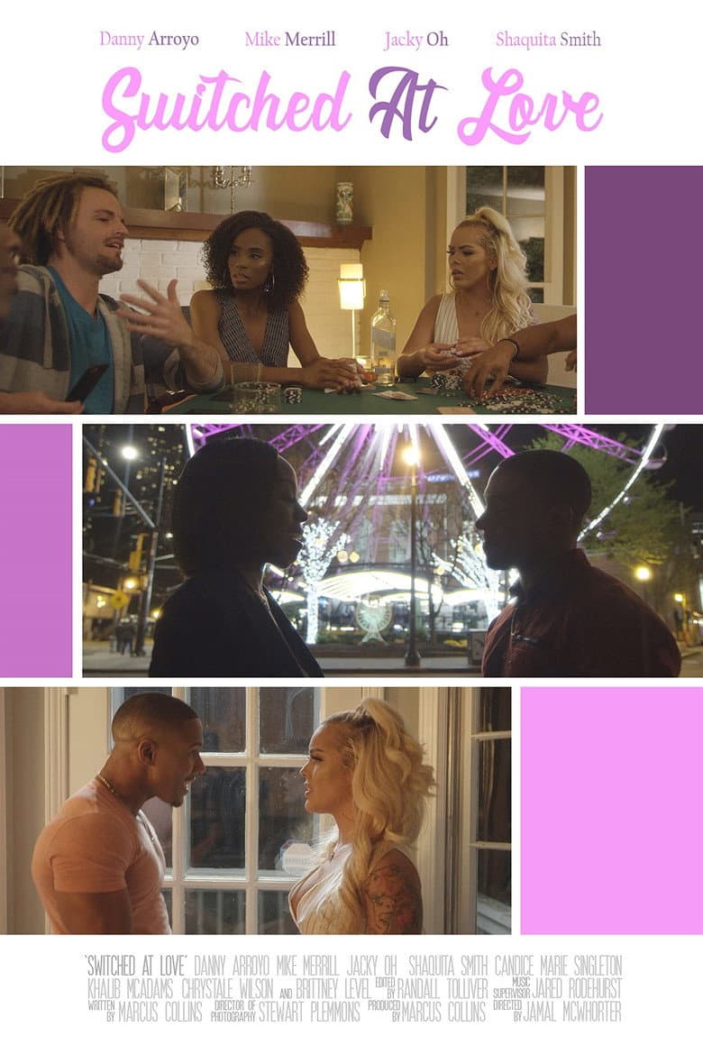 Switched at Love poster