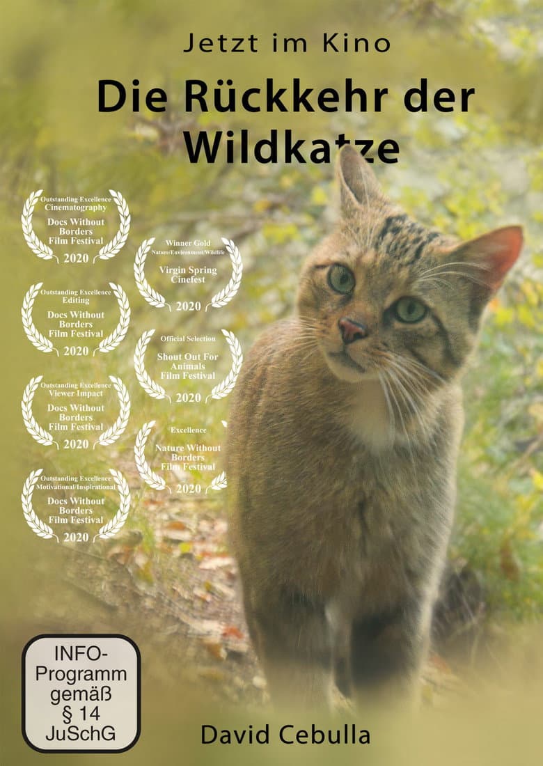 The Return of the Wildcat poster