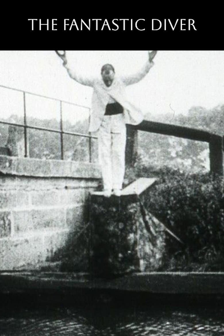 The Fantastic Plunger poster