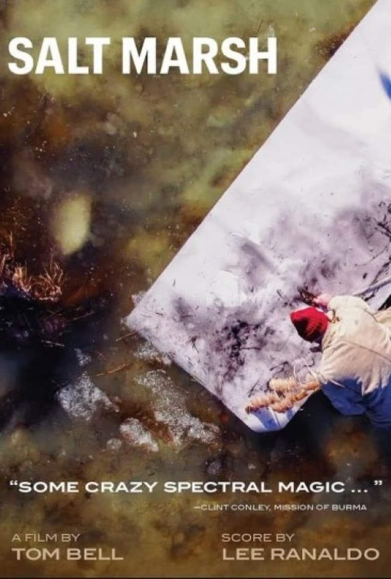 Salt Marsh poster