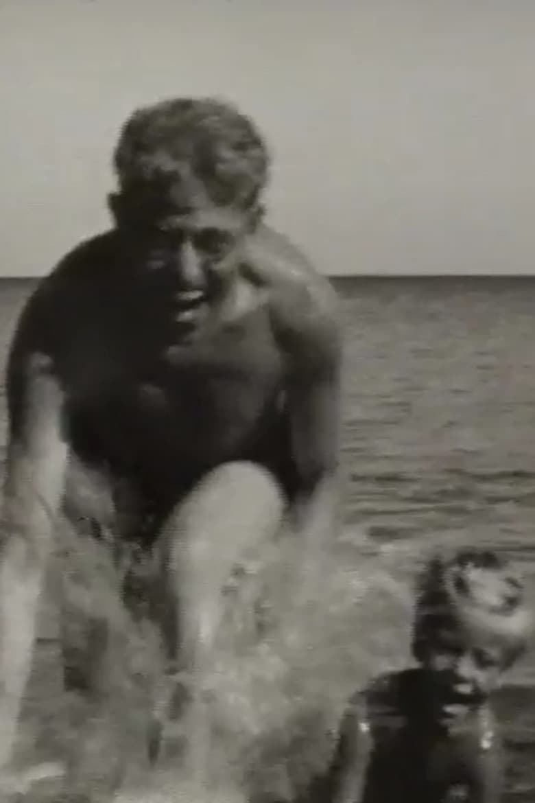 Safe Condition: Document in the Past Perfect poster