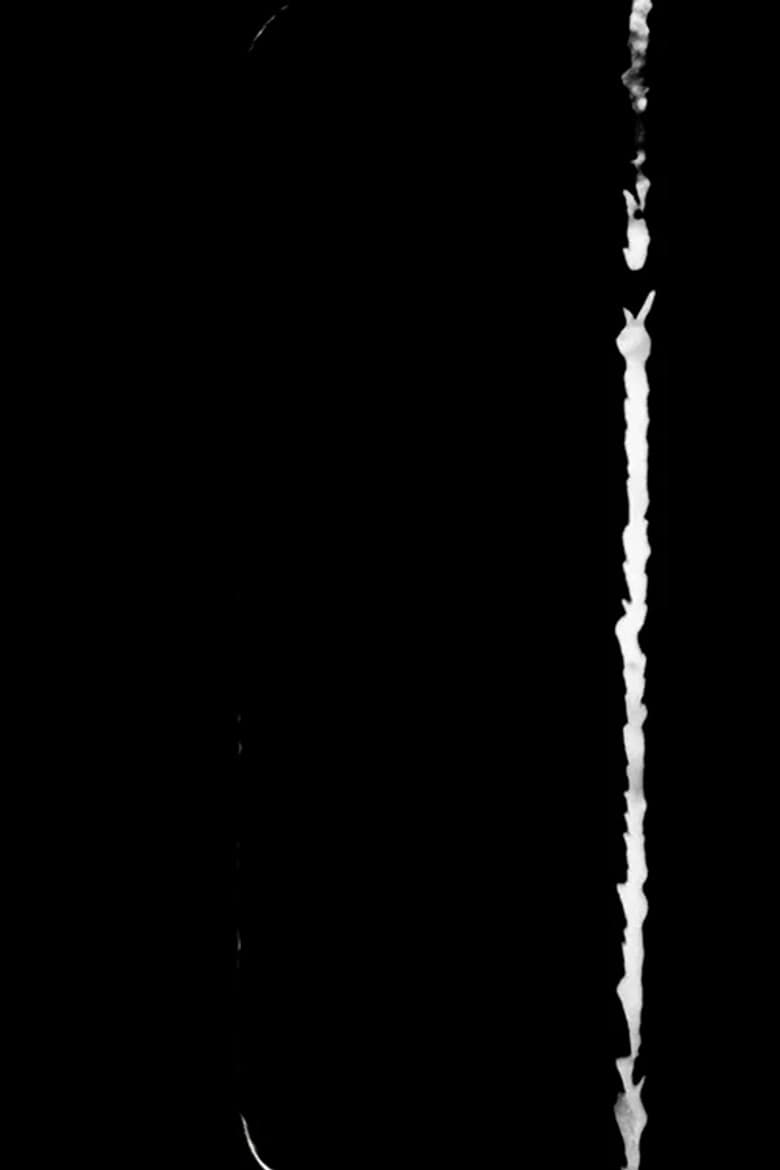 Nude Descending poster