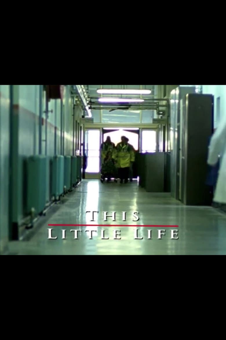 This Little Life poster