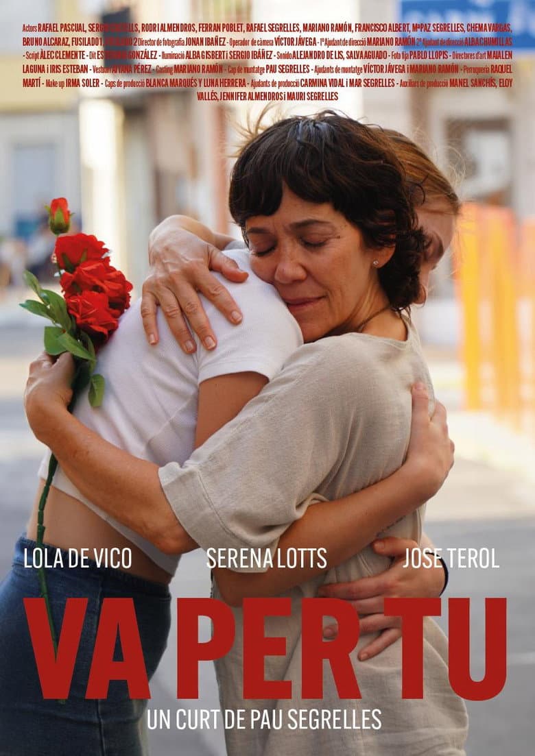 VA PER TU poster