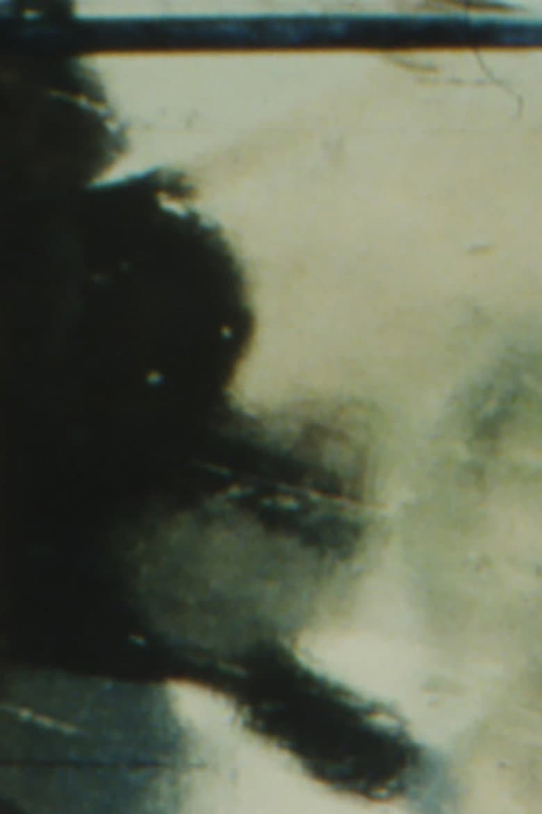 The Winter Footage poster