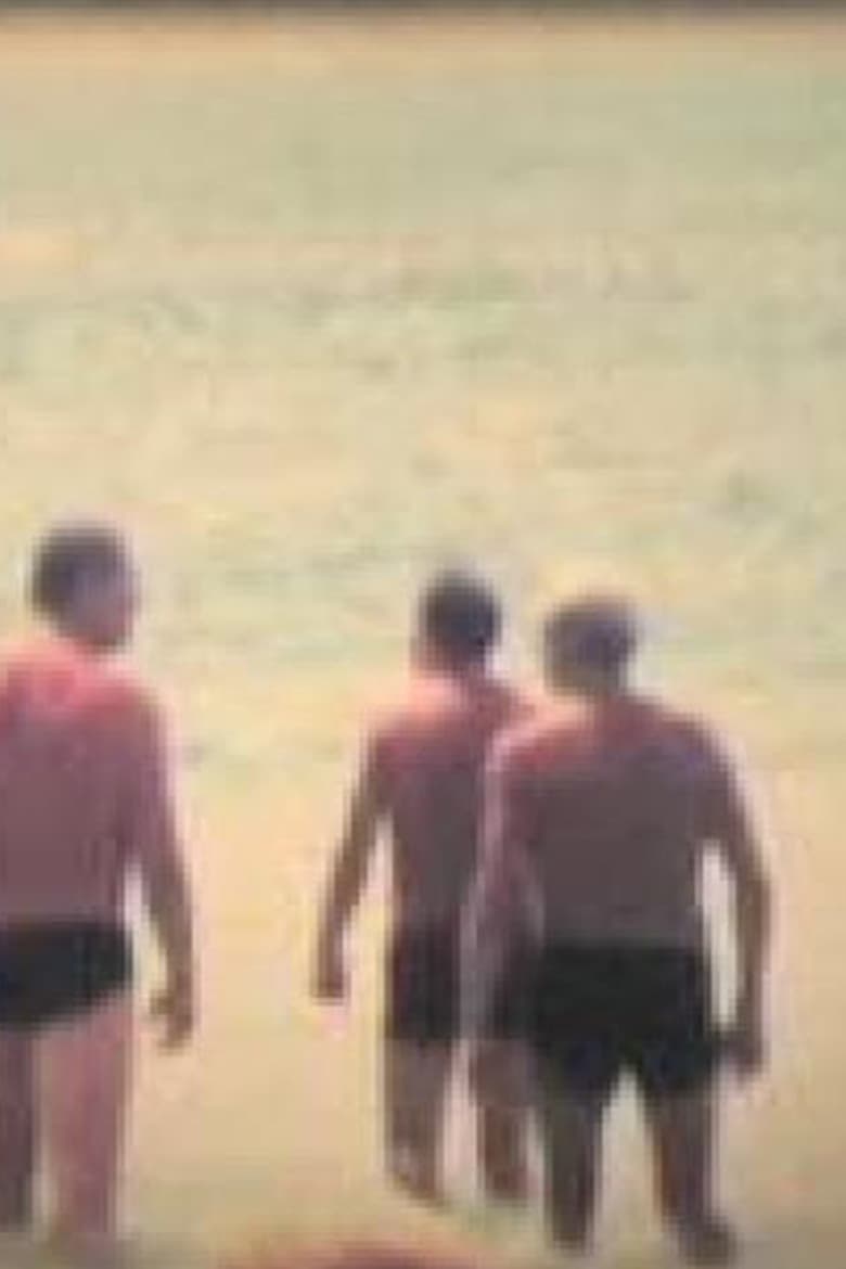 Tarde de verano poster