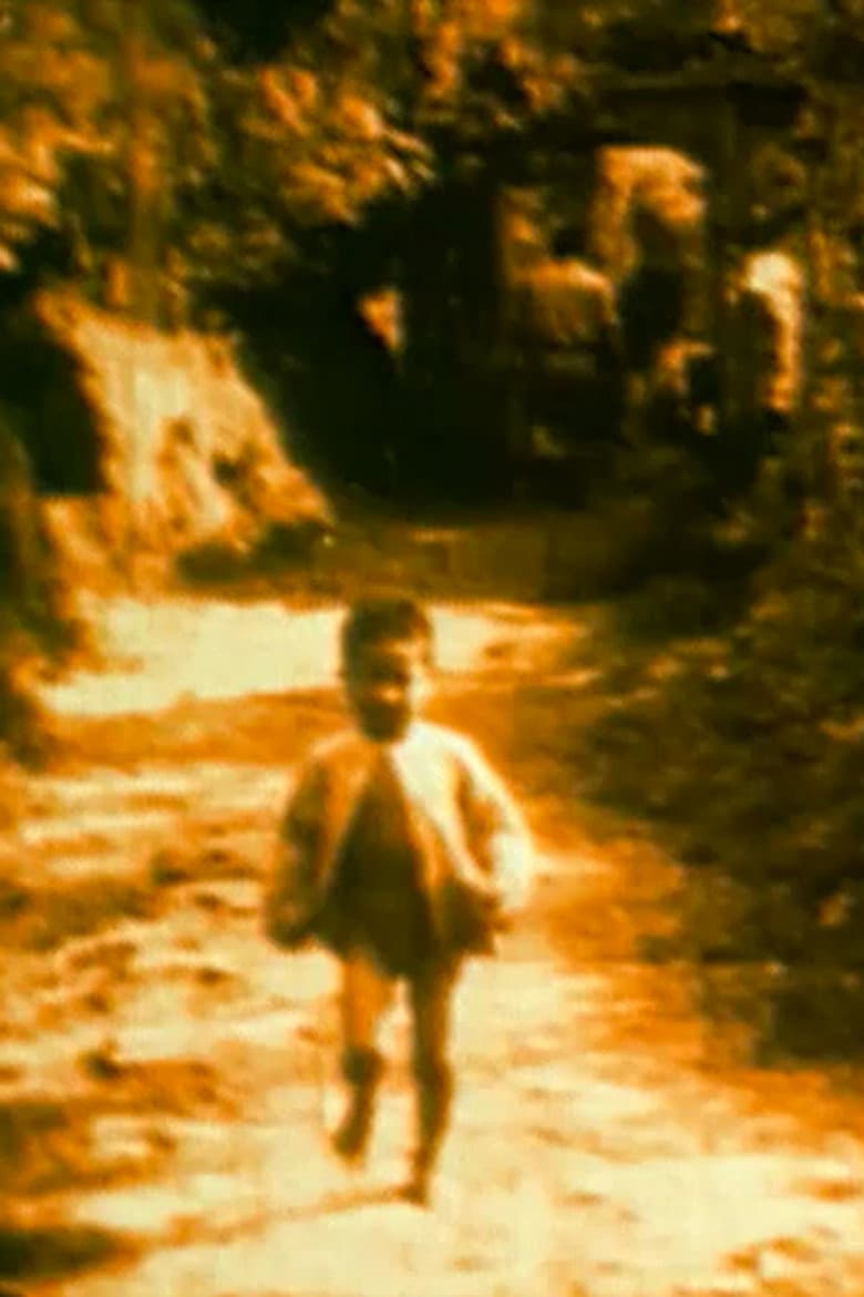 Electric Fragments No. 2 - Vietnam poster