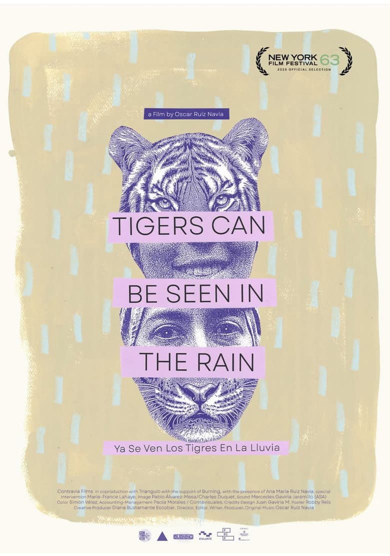 Tigers Can Be Seen In The Rain poster