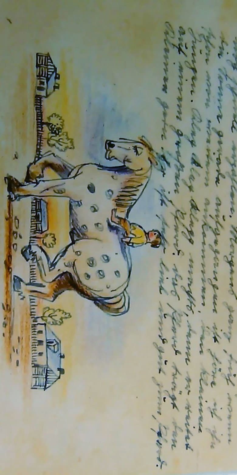 Up to the Sky and Much Much More poster