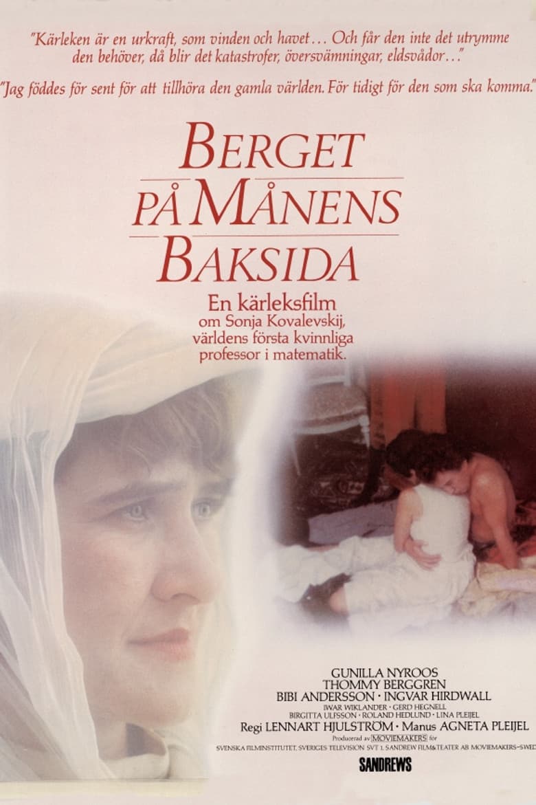 A Hill on the Dark Side of the Moon poster