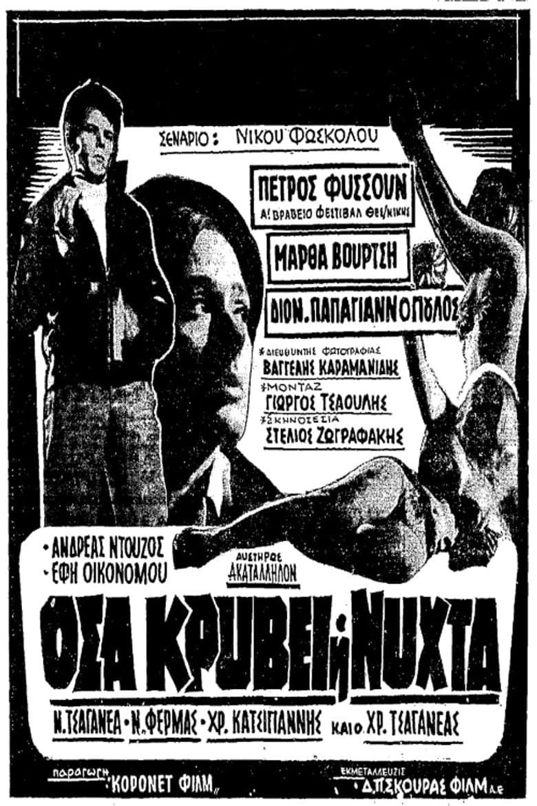 What the Night Hides poster