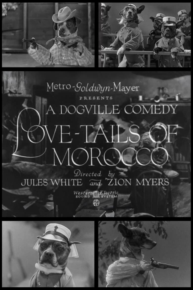 Love-Tails of Morocco poster