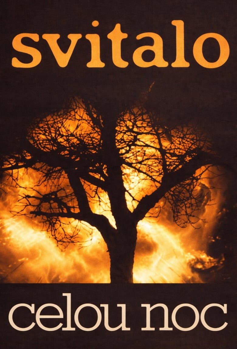 Svítalo celou noc poster