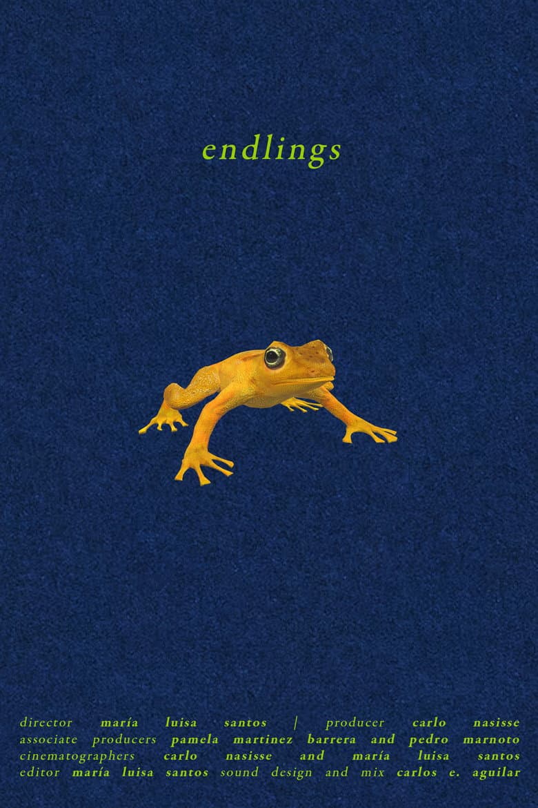Endlings poster