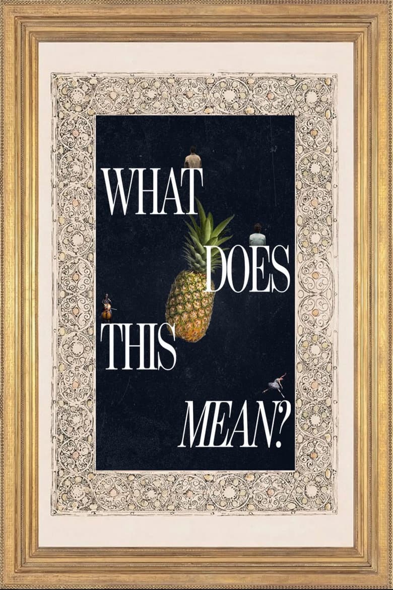 What Does This Mean? poster