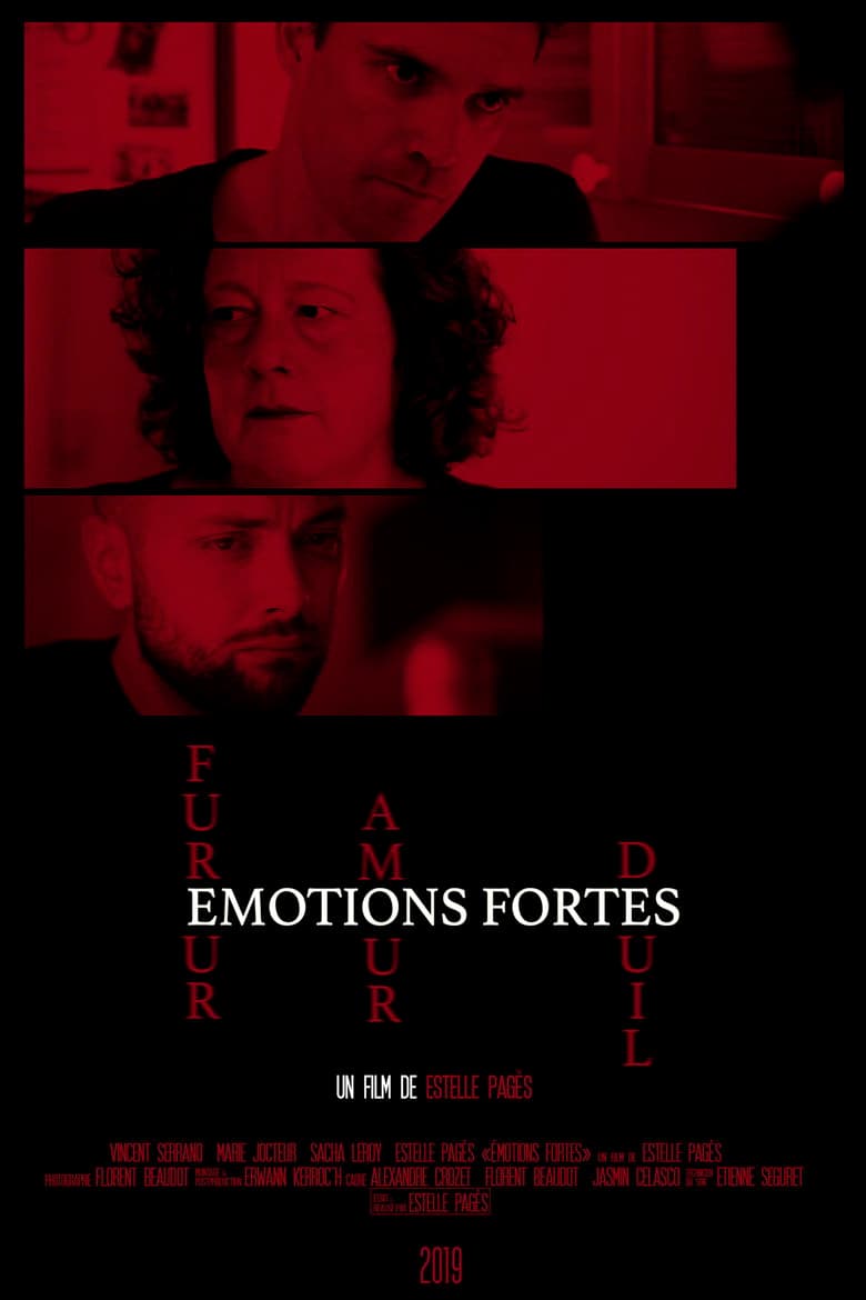 Strong Emotions poster