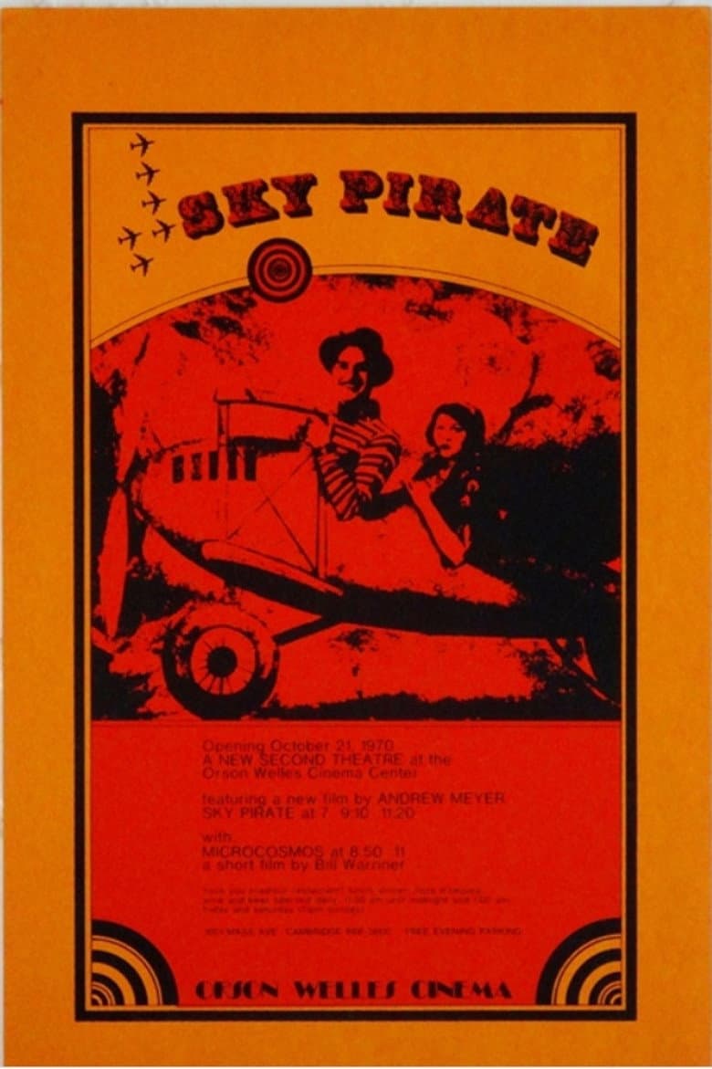 The Sky Pirate poster