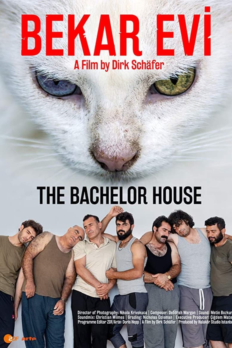 The Bachelor House poster