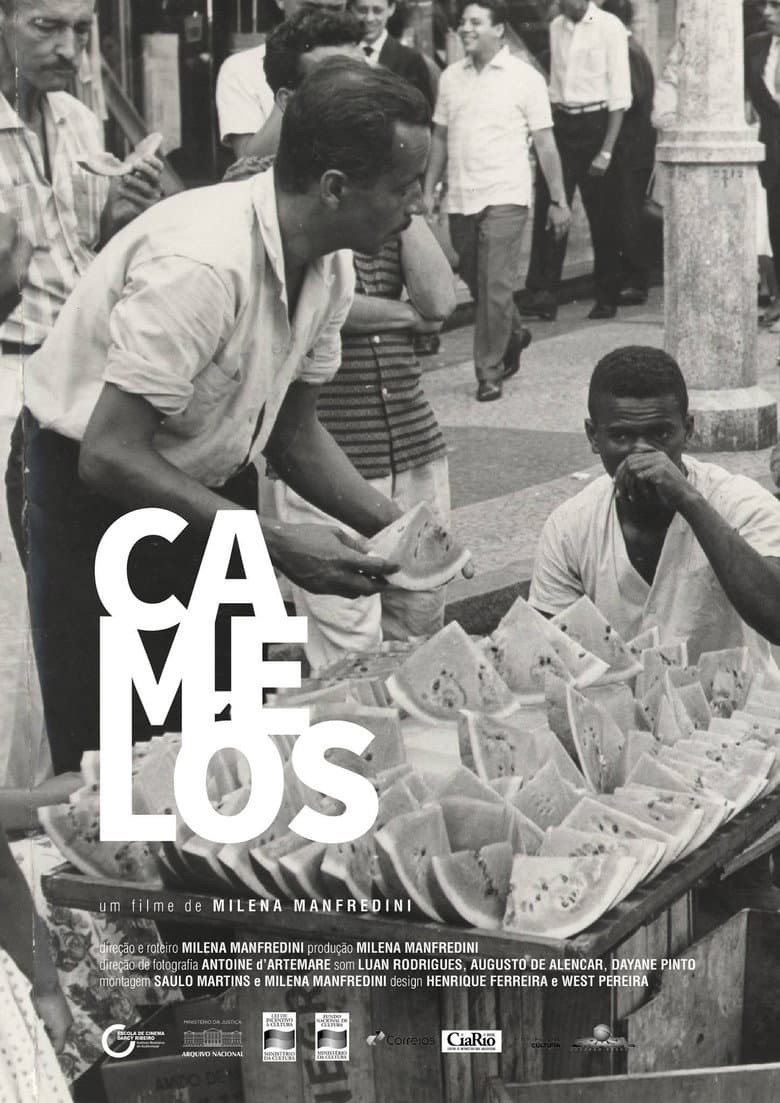 Camelôs poster