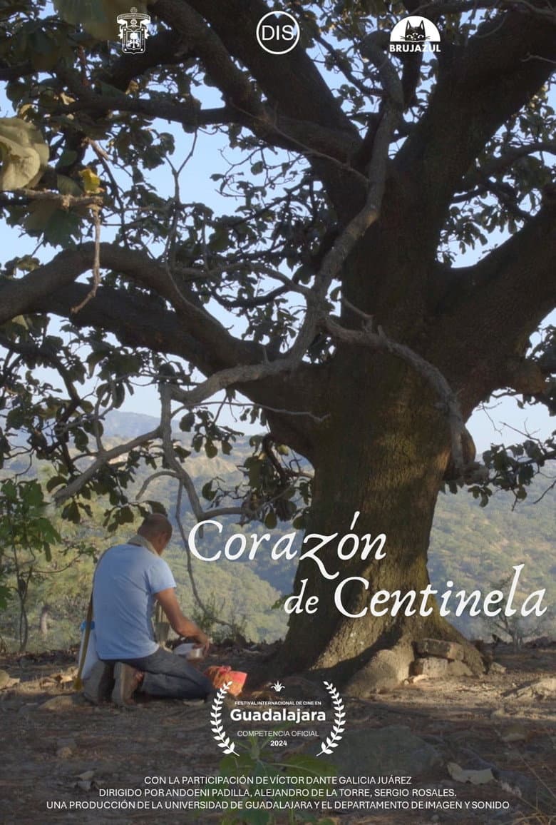Corazón de centinela poster
