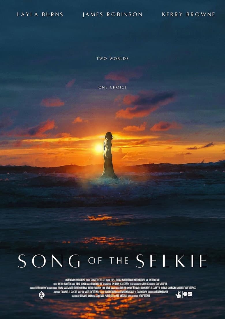 Song of the Selkie poster