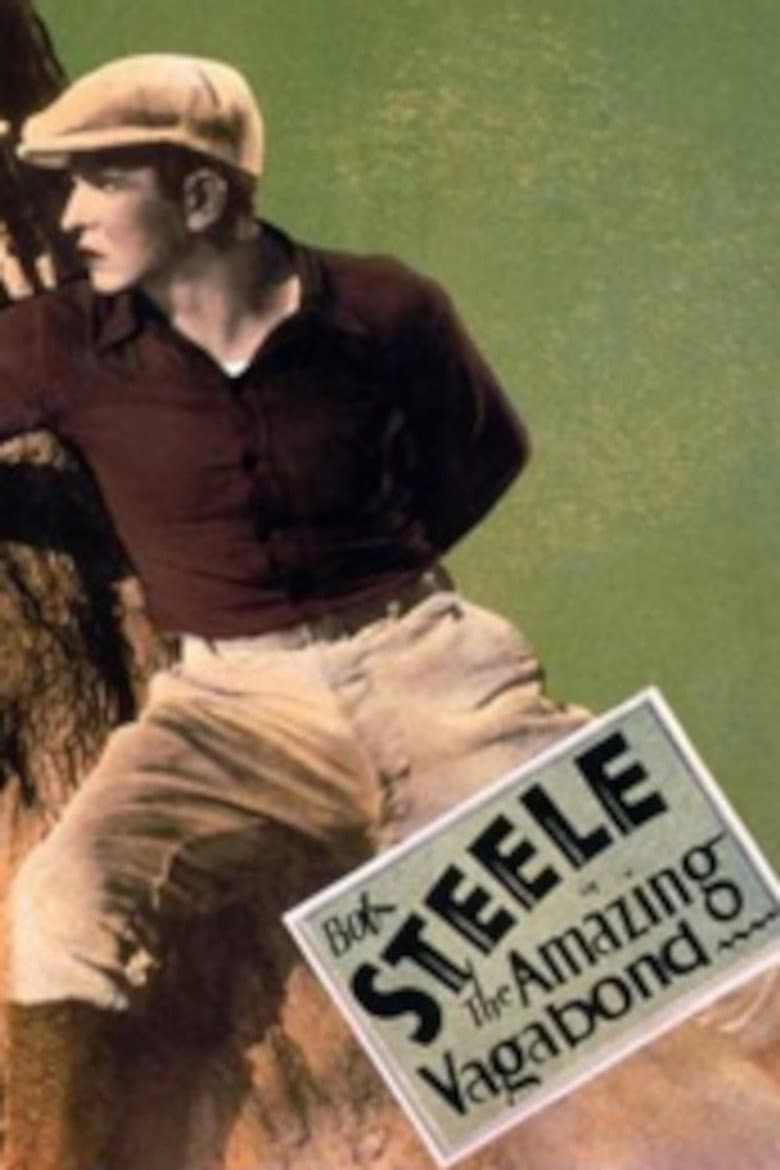 The Amazing Vagabond poster