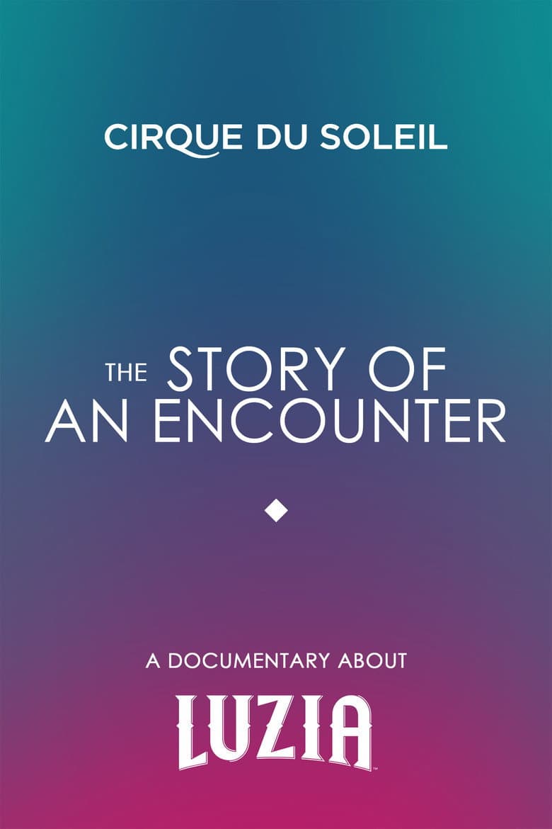 The Story Of An Encounter poster