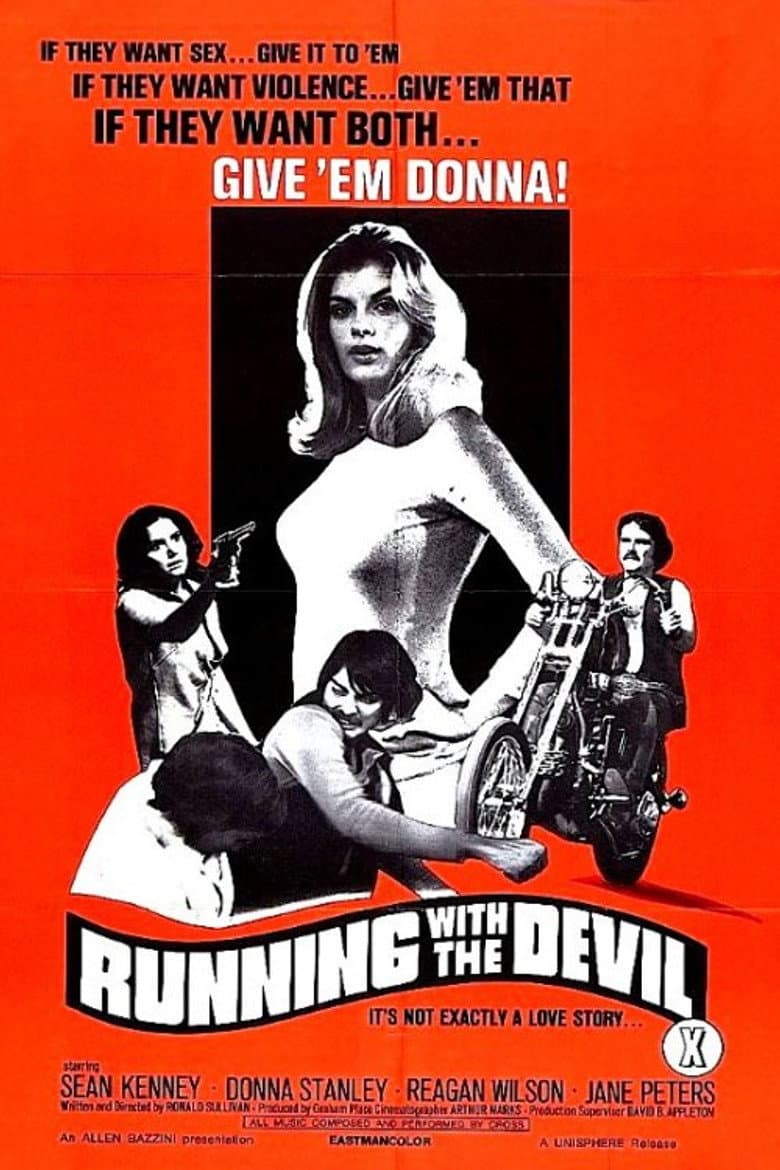 Running with the Devil poster