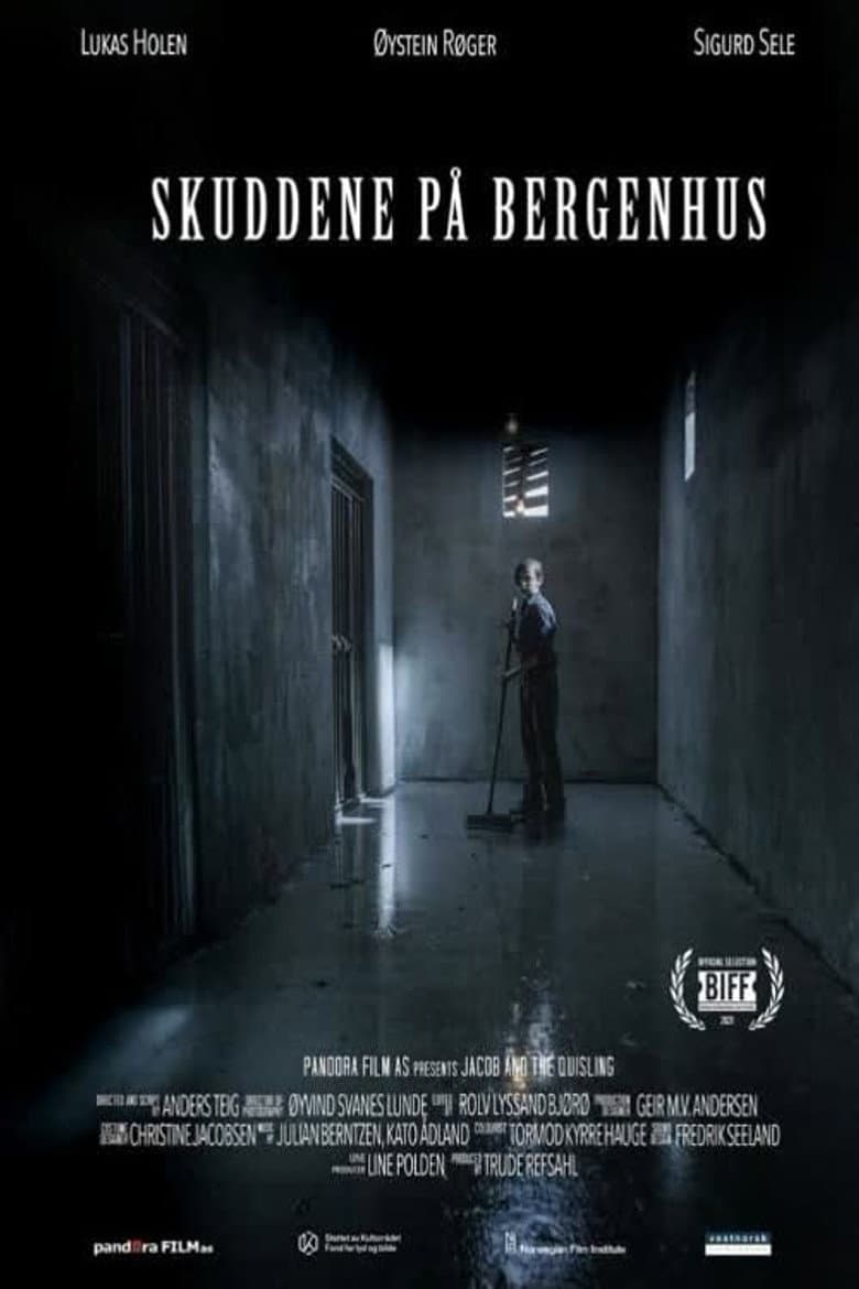 The Shots at Bergenhus poster