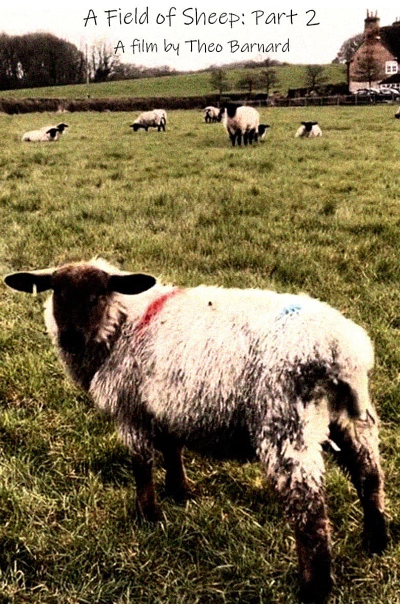 A Field of Sheep Part 2 poster