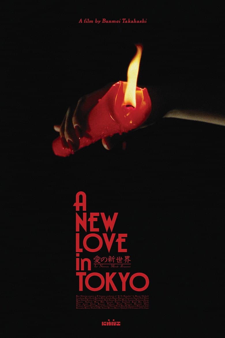 A New Love in Tokyo poster
