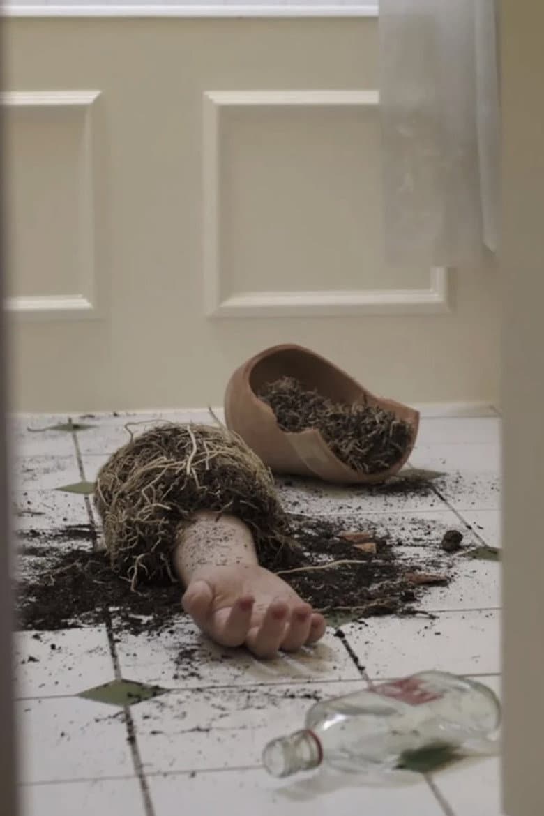 Seeds of Love poster