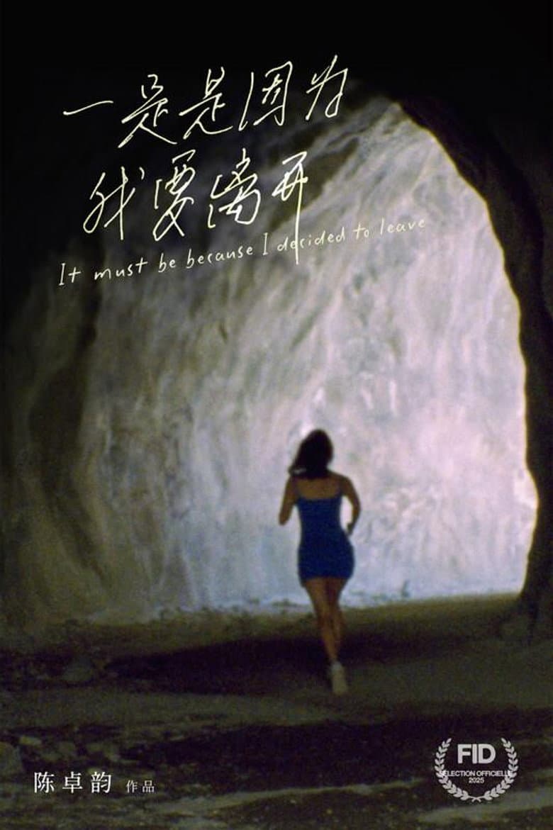 It Must Be Because I Decided to Leave poster