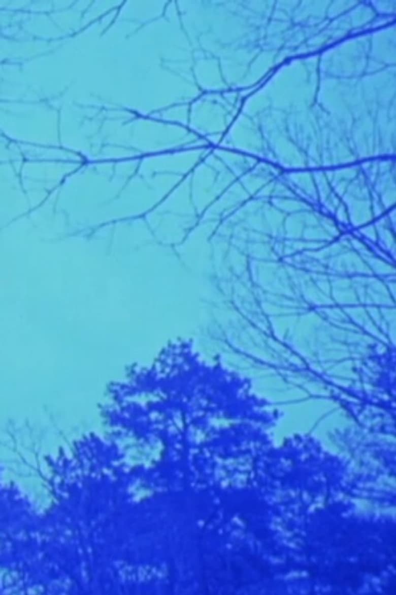 A Pattern Language poster