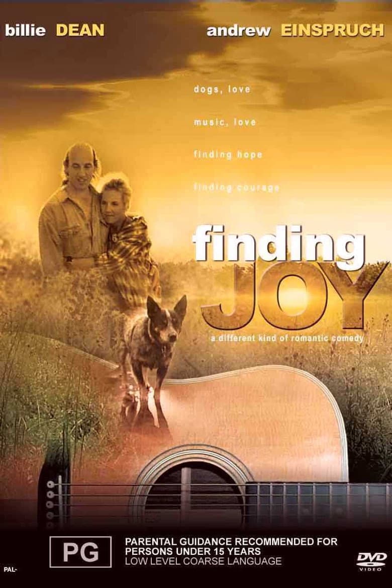 Finding Joy poster