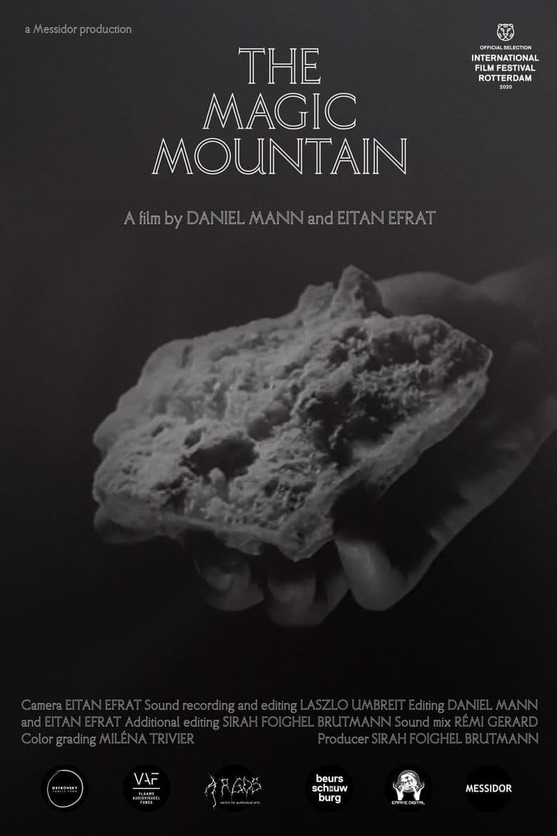 The Magic Mountain poster