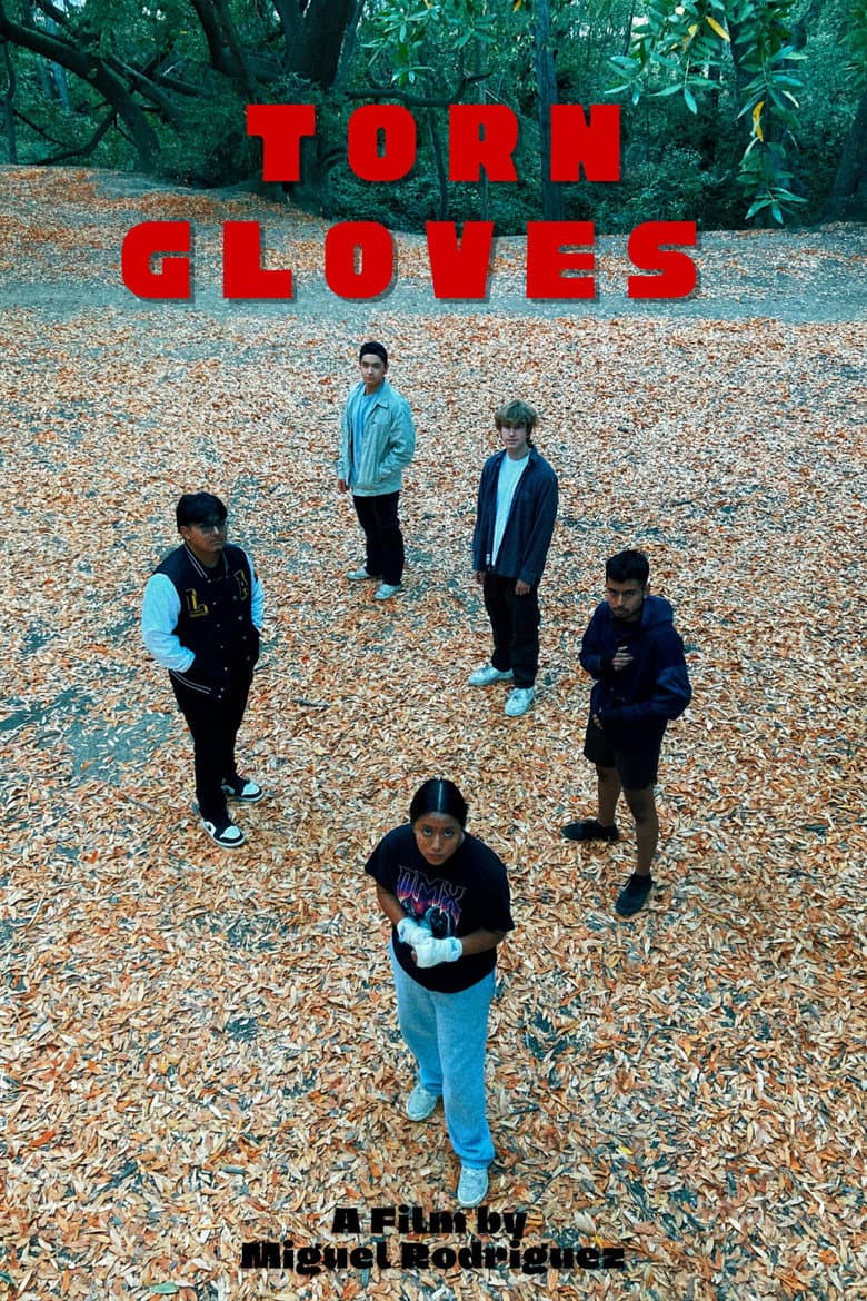 Torn Gloves poster