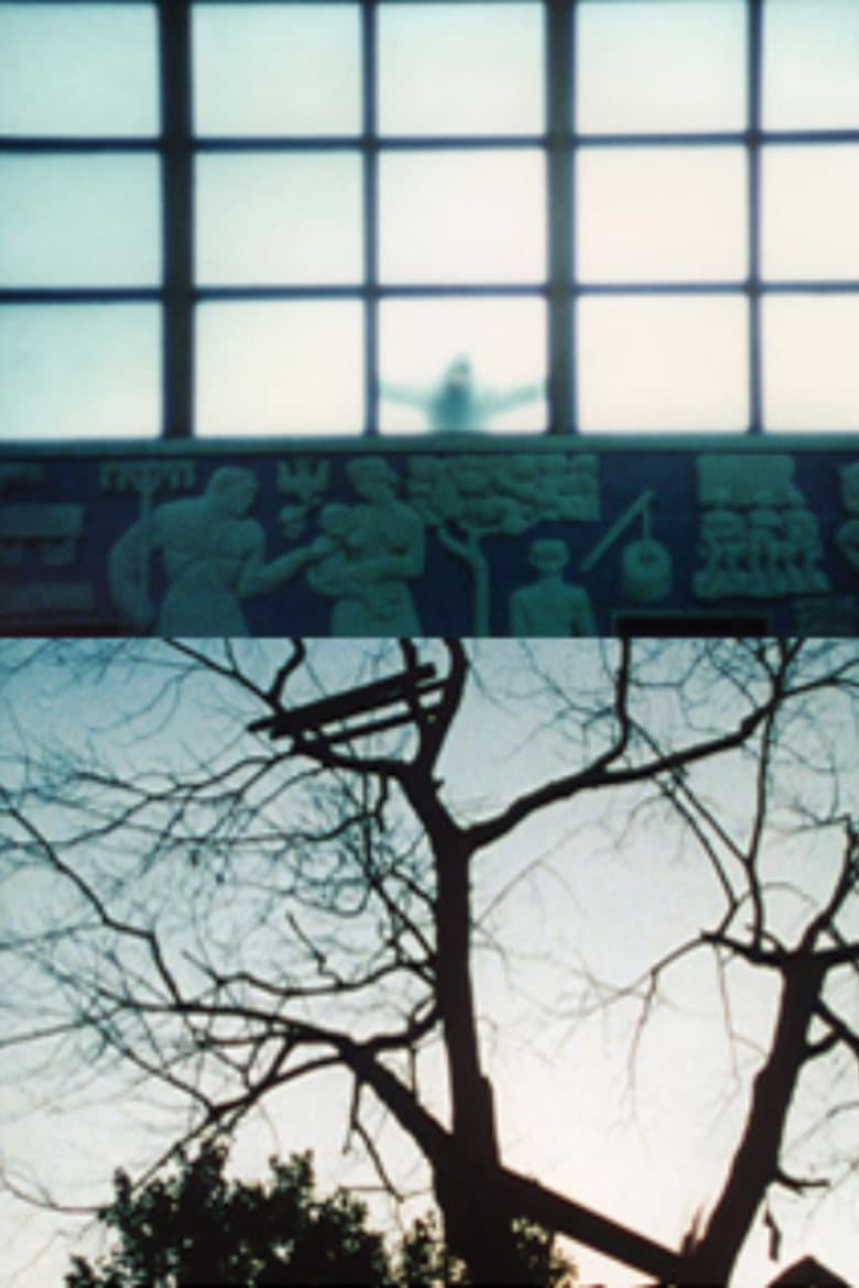 Le temps qu'il fait poster