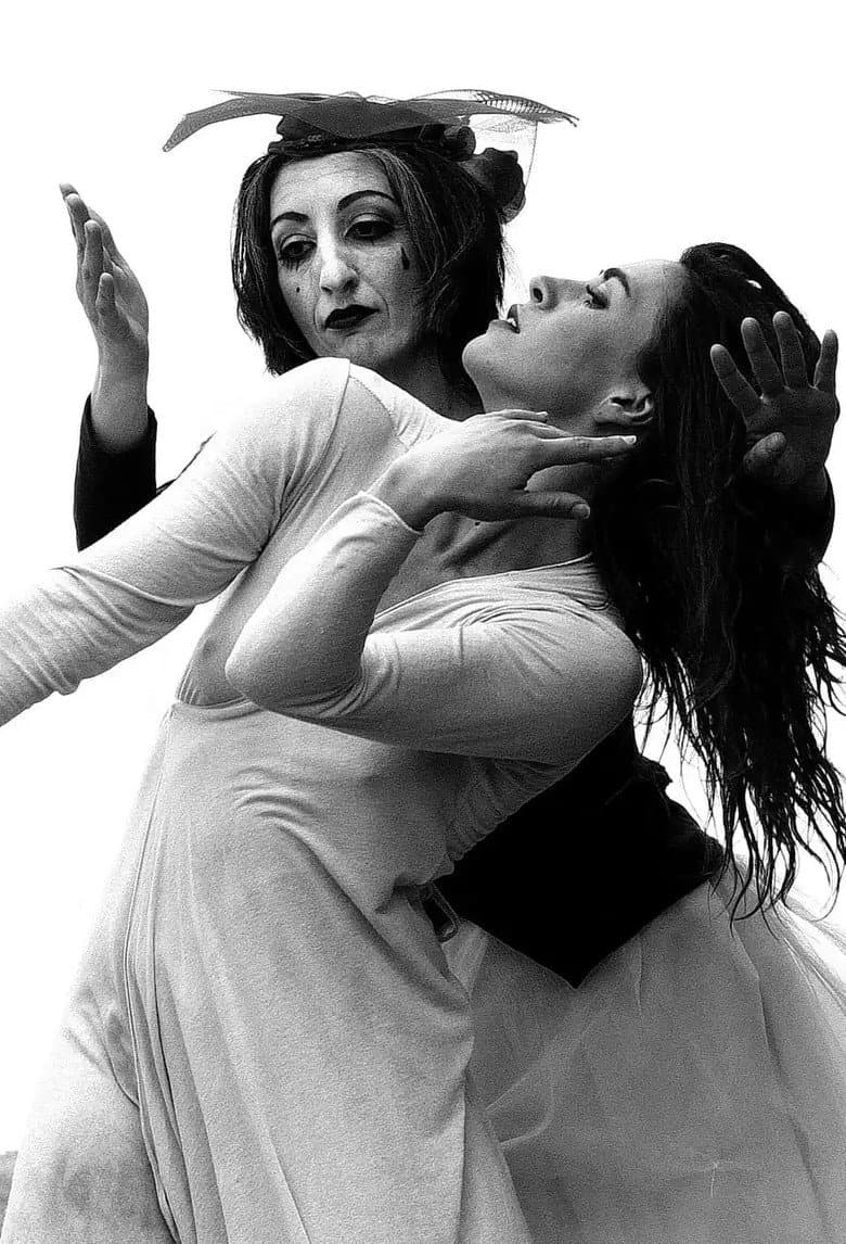 La sposa nel vento poster