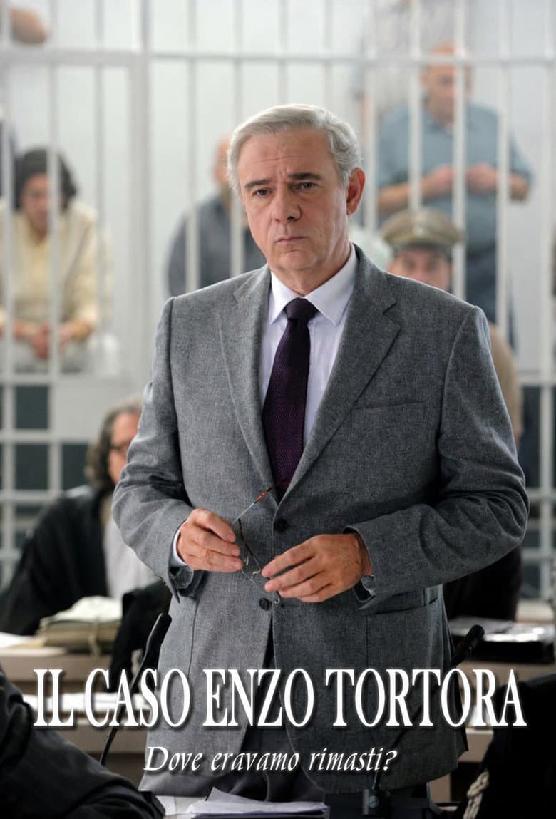 Il caso Enzo Tortora: Dove eravamo rimasti? poster
