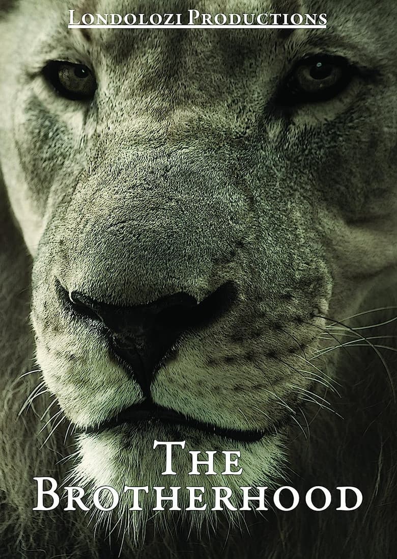 The Brotherhood poster