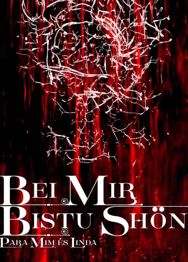 BEI MIR BISTU SHON: PARA MIM ES LINDA poster