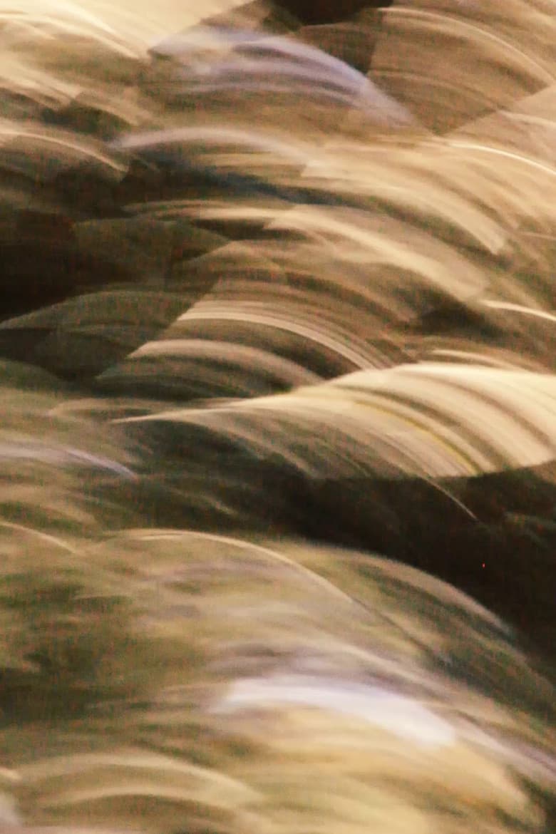 brushstrokes poster