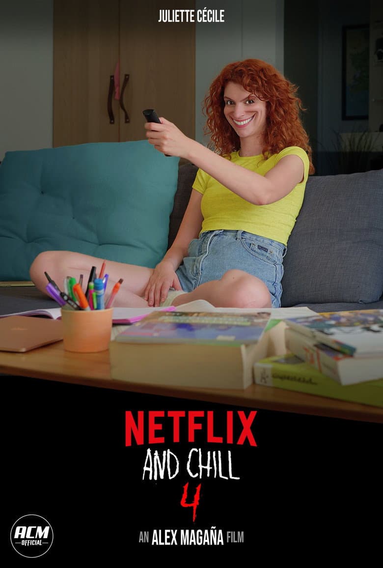Netflix and Chill 4 poster